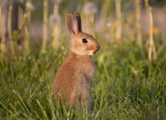 24h Pysäköinti Espoo – Löydä Helppo Ja Edullinen Ratkaisu!