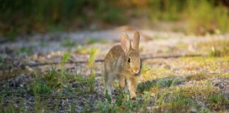 Mehiläinen Espoo Matinkylä – Miksi Valita Parasta Hoitoa?