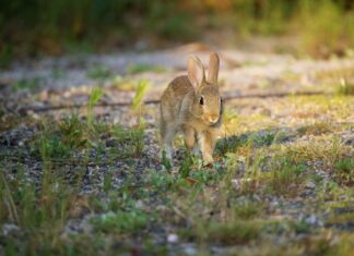 Mehiläinen Espoo Matinkylä – Miksi Valita Parasta Hoitoa?