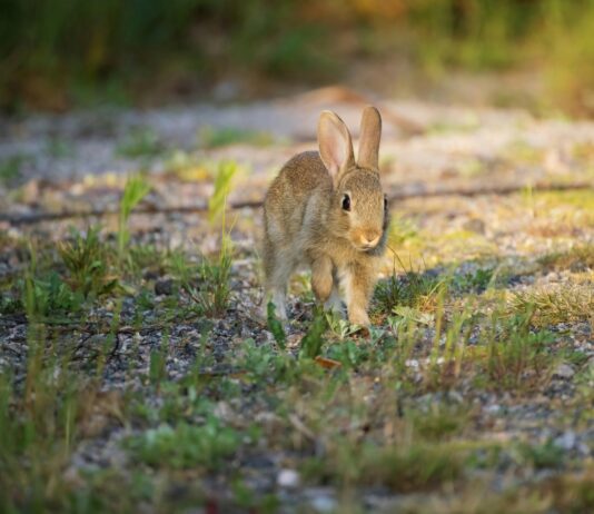 Mehiläinen Espoo Matinkylä – Miksi Valita Parasta Hoitoa?
