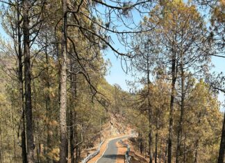 Espoon Asunnot Oikotie – Löydä Unelmiesi Koti Vaivattomasti
