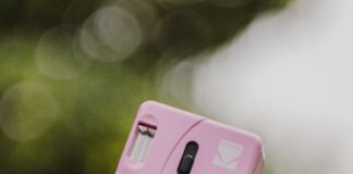 Espoon Kaupungin Eläinlääkäri – Miksi Valita Paras Hoito?