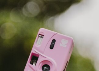 Espoon Kaupungin Eläinlääkäri – Miksi Valita Paras Hoito?