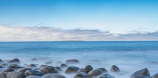 Yoga Nordic Espoo: Löydä Rauha Ja Voima Lähellä Kotiasi