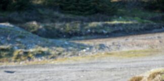 Espoonlahdentie 2 4 Espoo – Mikä Tekee Tästä Paikasta Erityisen?