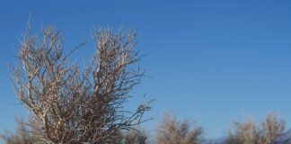 Stark Espoo Olari – Miksi Se On Paras Valinta Rakentajalle?