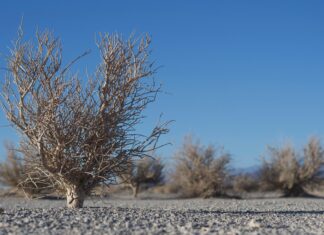 Stark Espoo Olari – Miksi Se On Paras Valinta Rakentajalle?