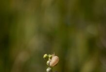 Shell Espoo Suomenoja: Miksi Tämä Huoltamo On Paikallisten Suosikki?