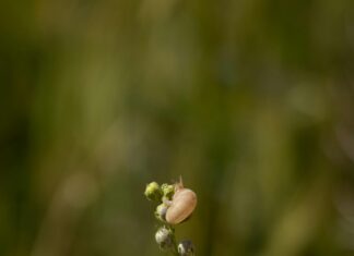 Shell Espoo Suomenoja: Miksi Tämä Huoltamo On Paikallisten Suosikki?