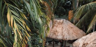 Original Sokos Hotel Tapiola Garden Tapionaukio Espoo – Miksi Se On Vierailun Arvoinen?