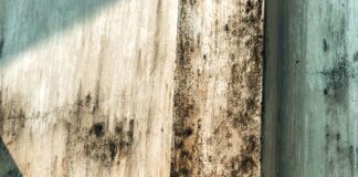 Duudsonit Activity Park Espoo – Miksi Se On Täydellinen Seikkailu?