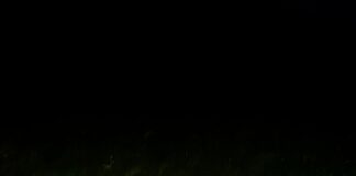 Iso Poliisioperaatio Espoossa: Mikä Tapahtui Ja Miksi Se Kiinnostaa?