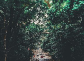 Espoon Kaupungin Vuokra Asunnot Jono – Miksi Se Kasvaa Nyt?