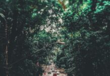 Espoon Kaupunki Työterveys – Miten Se Voi Parantaa Työhyvinvointia?