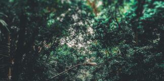 Espoon Kaupunki Työterveys – Miten Se Voi Parantaa Työhyvinvointia?