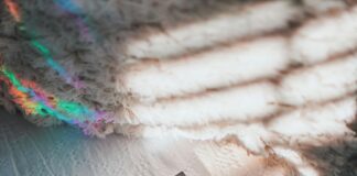 Rainbow River Espoo: Mikä Tekee Siitä Kaupungin Salaisen Helmen?