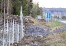 Poliisi häätää hirviä riista-aitojen välistä Turussa – Nyheter och uppdateringar poliisi-ht-hirvi-riista-aitojen-vlist-turussa-nyheter-och-uppdateringar