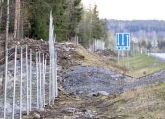 Poliisi häätää hirviä riista-aitojen välistä Turussa – Nyheter och uppdateringar poliisi-ht-hirvi-riista-aitojen-vlist-turussa-nyheter-och-uppdateringar