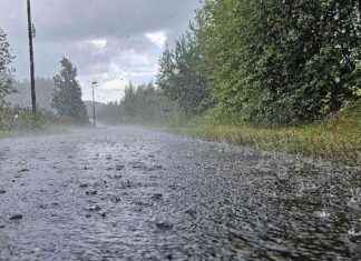 Väderprognos: Regn och möjligt åska i öst vderprognos-regn-och-mjligt-ska-i-st