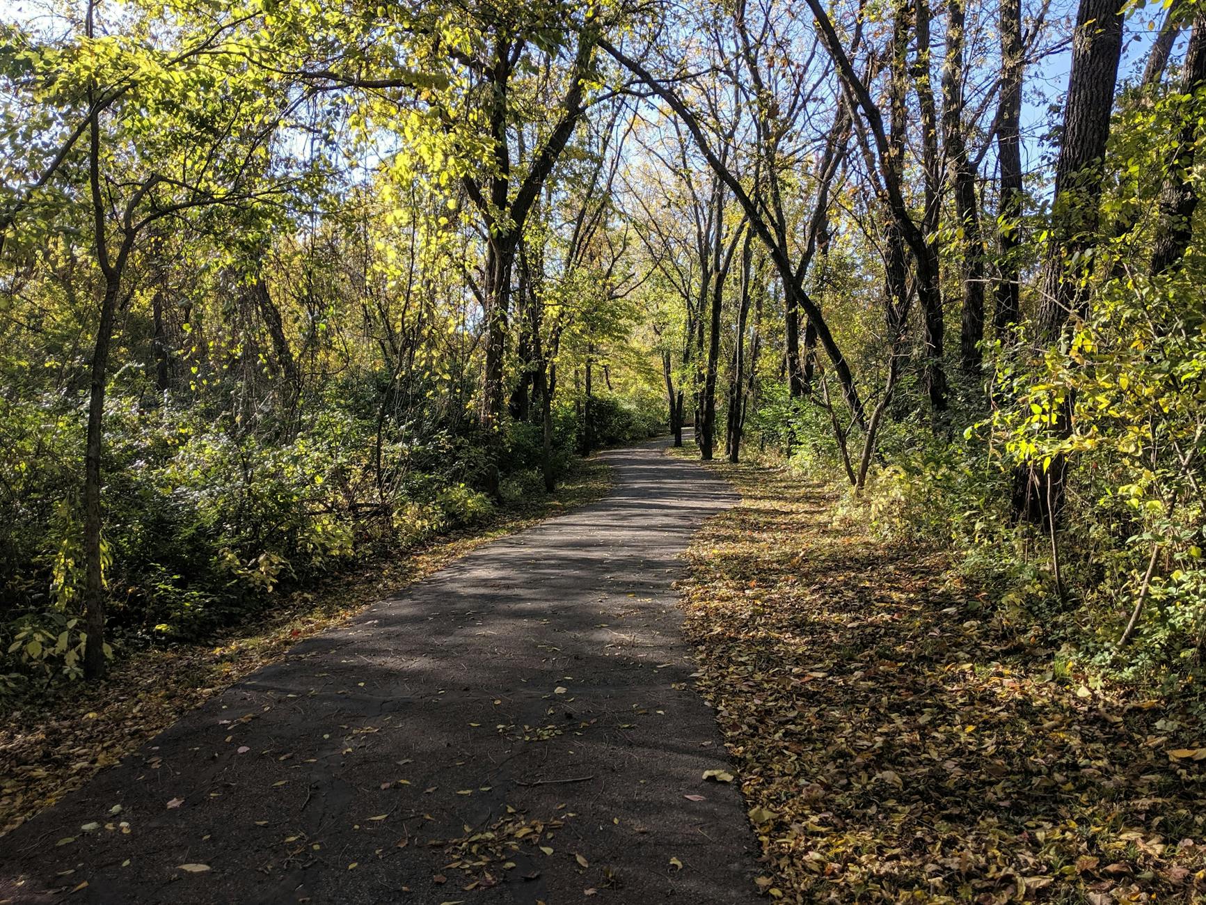 Miten Hoppelopen Kanssa Osaaminen Muuttaa Sinun Liikuntakokemukset?