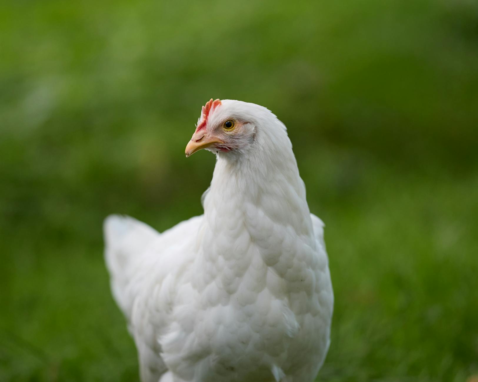 Vuokrataan toimistotilat Espoossa - Monipuolisia ratkaisuja yrityksille 4 X 5 Tapaa Saada Parhaat Vuokrataan Toimistotilat Espoossa