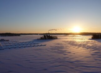 Brunssista Espooseen: Erittäin helposti sisään!
