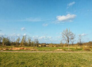 Espoon seksitreffejä ja -palveluita selville: Tärkeimmät tiedot yhdessä paikassa.