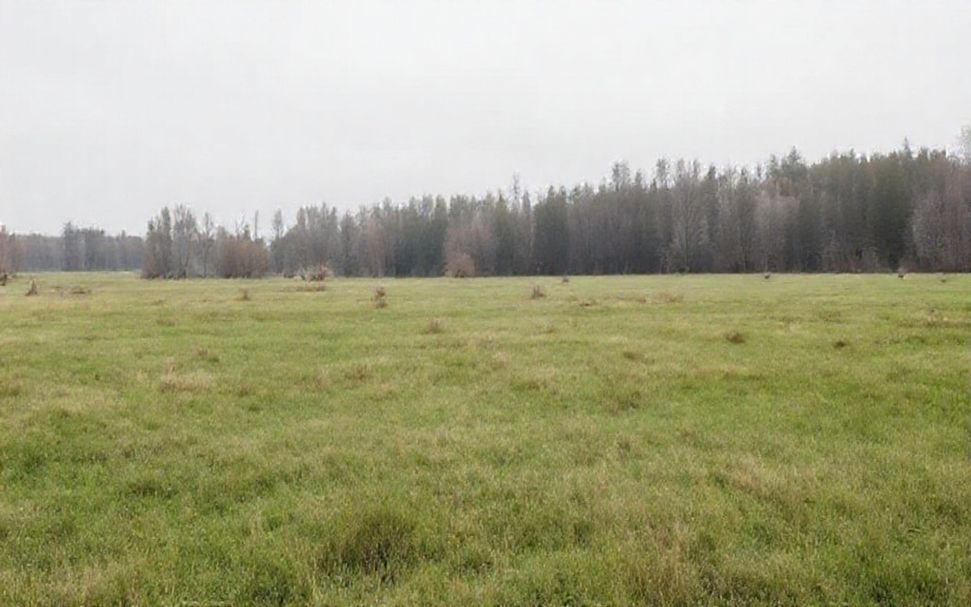 K-Rautan Espoossa Olevan Valikoiman Salaisuus