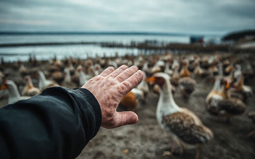 Puuilo Espoossa asunto- ja loma-asunnot älykkäästi suunniteltuna 4 Miten Puuilo Espoossa löytää oikea asunto henkilökohtaisiin tarpeisiisi?