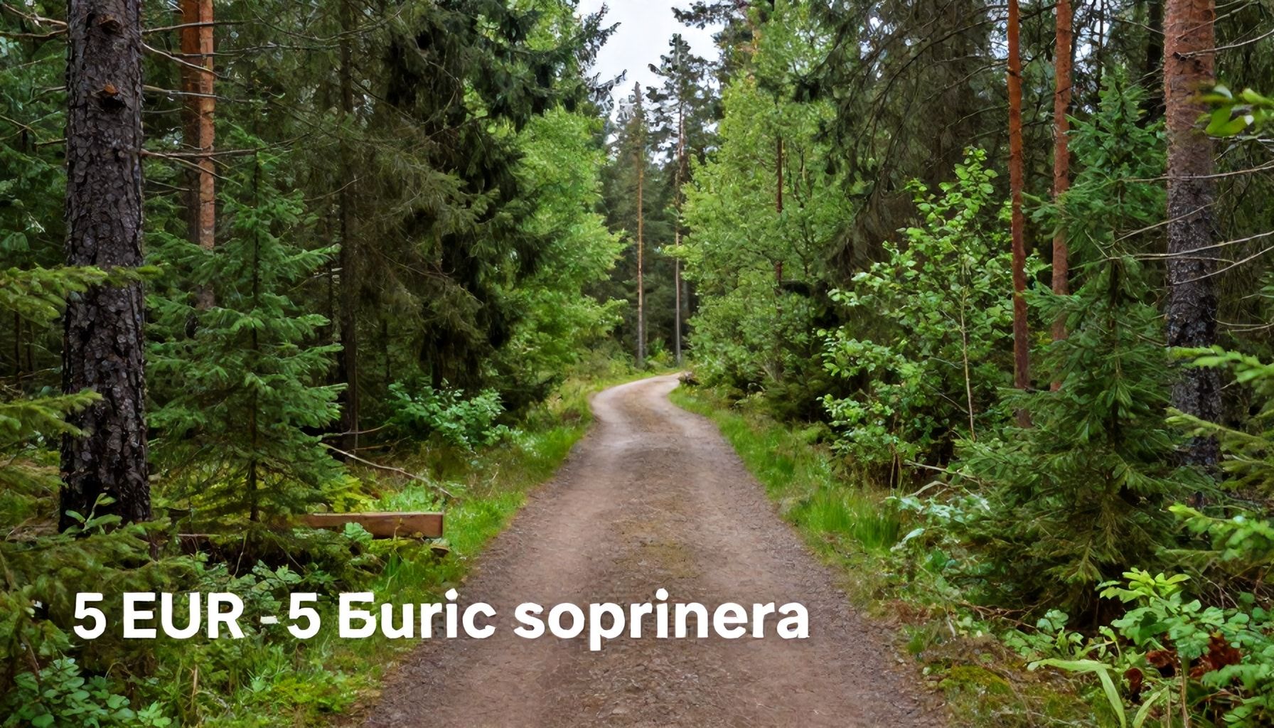 5 parasta luontopolkua Espoon leirintäalueella