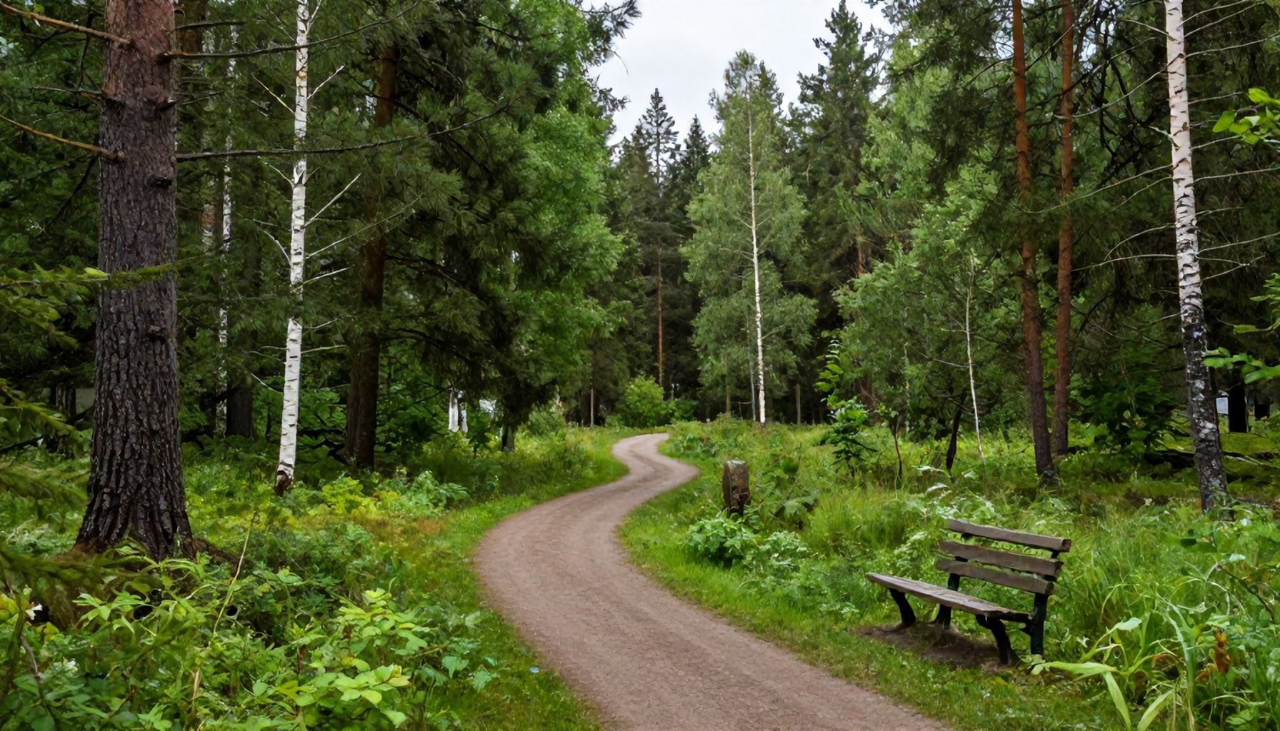 5 parasta paikkaa niipperissä luonnon kauneuden ihailemiseen
