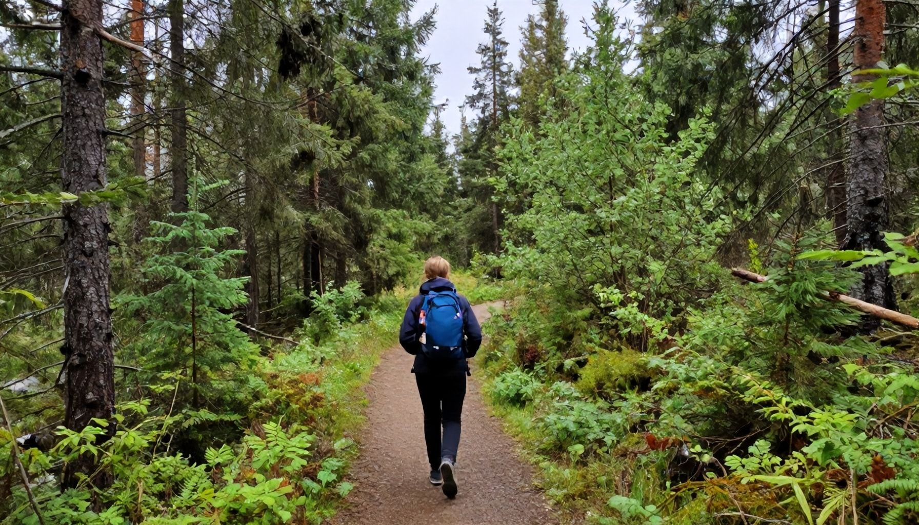 Kontin kesä ja mukava Espoo: Päiväretkiä ja aktiviteetteja kaikkina vuodenaikoina 3 5 Tärkeintä aspektia Kontin leirintäalueiden valintaan