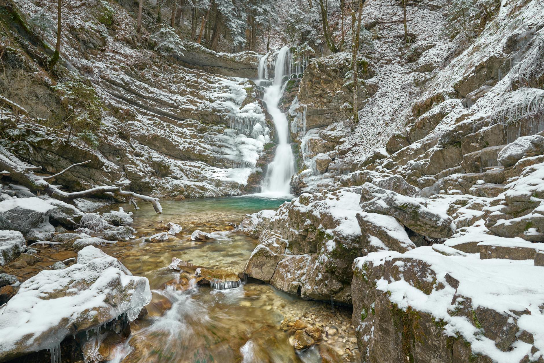 Kymmenen Syytä Miksi Bavaria Espoon Ravintoloissa on Erittäin Populaariksi Käynyt