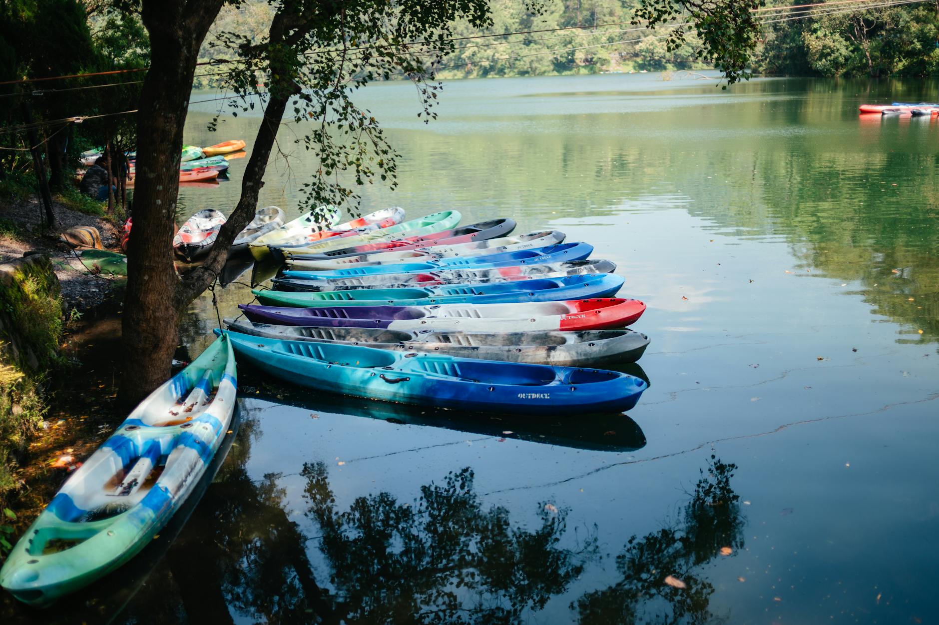 Miten Saat Paikallista Maustetta Bavarialaiseen Ruokaan?