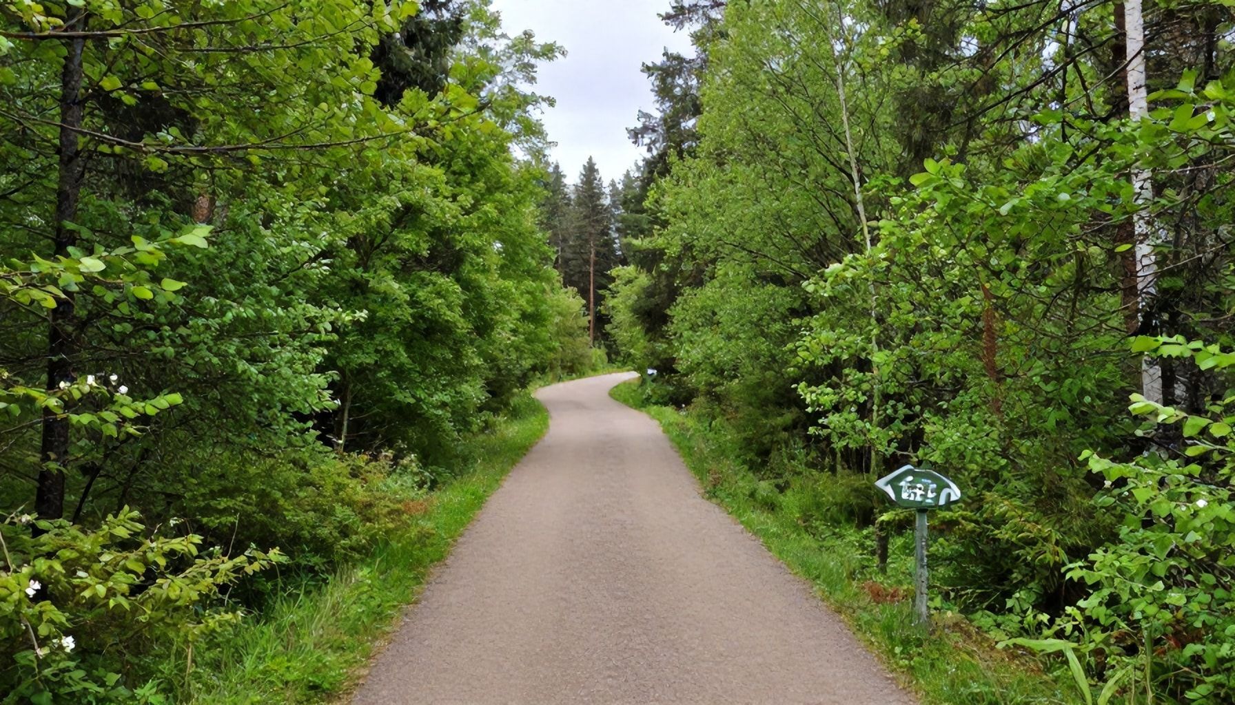 Kaitalammen parhaat vaellusreitit Espoossa