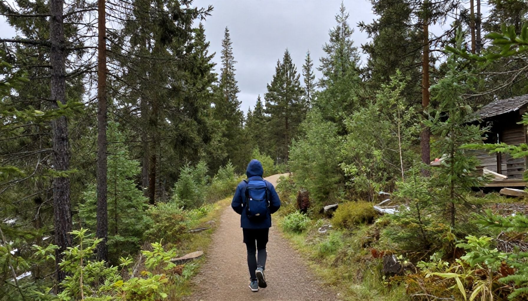 Kontin kesä ja mukava Espoo: Päiväretkiä ja aktiviteetteja kaikkina vuodenaikoina 4 Kontin kesä: Mitä tarvitset leirintäretken suunnitteluun