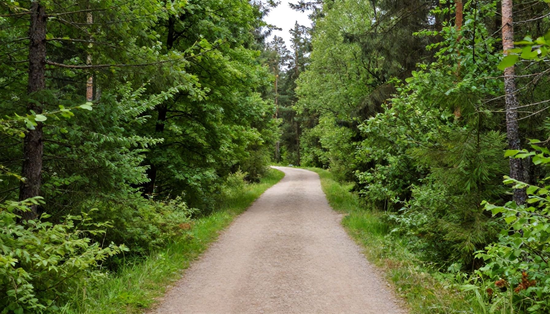 Kuinka niipperi Espoossa parantaa fyysistä ja henkistä hyvinvointia?