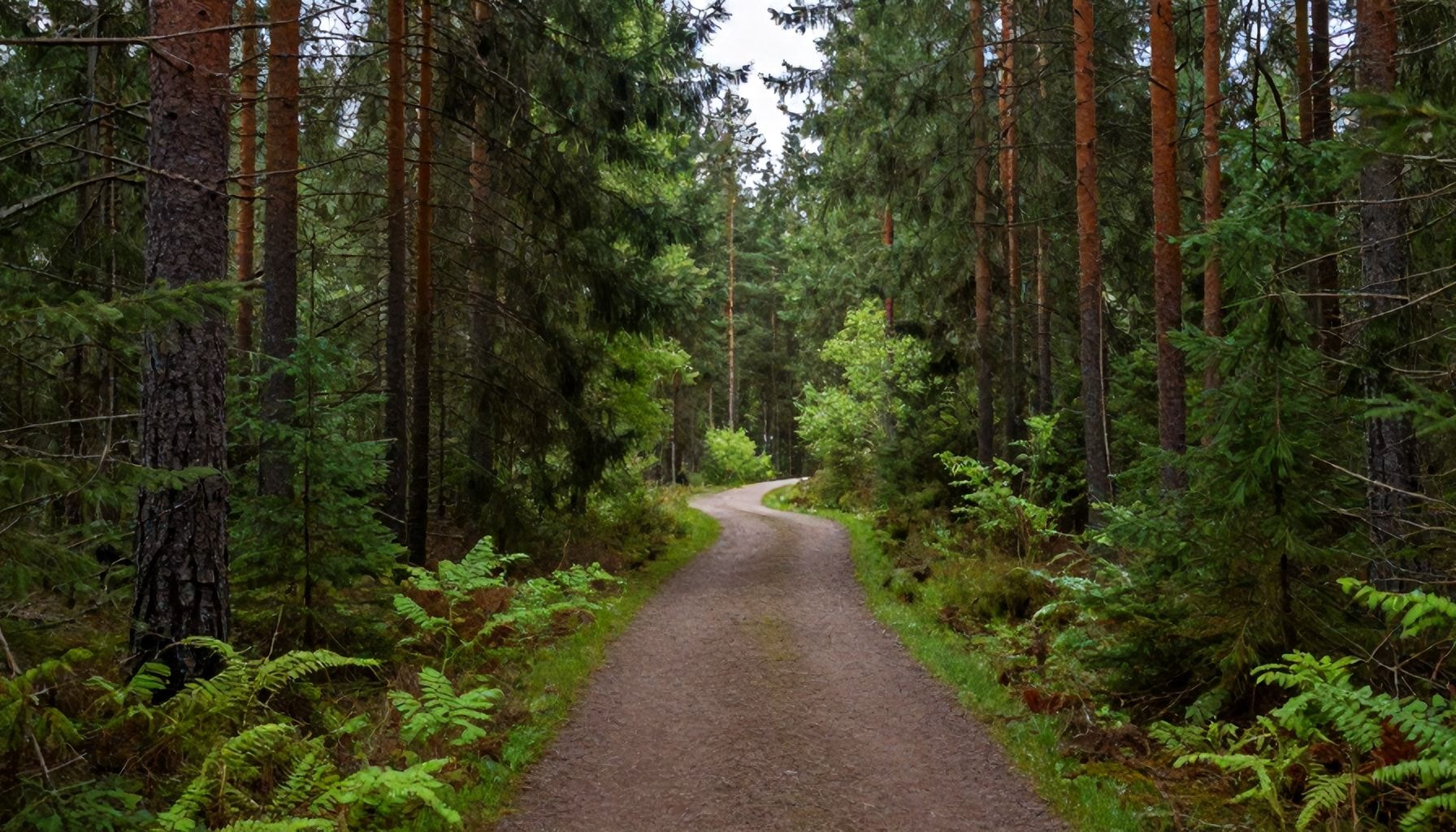 Luonnonkauneuden keskellä: Parhaat luontopolut Saka Espoossa