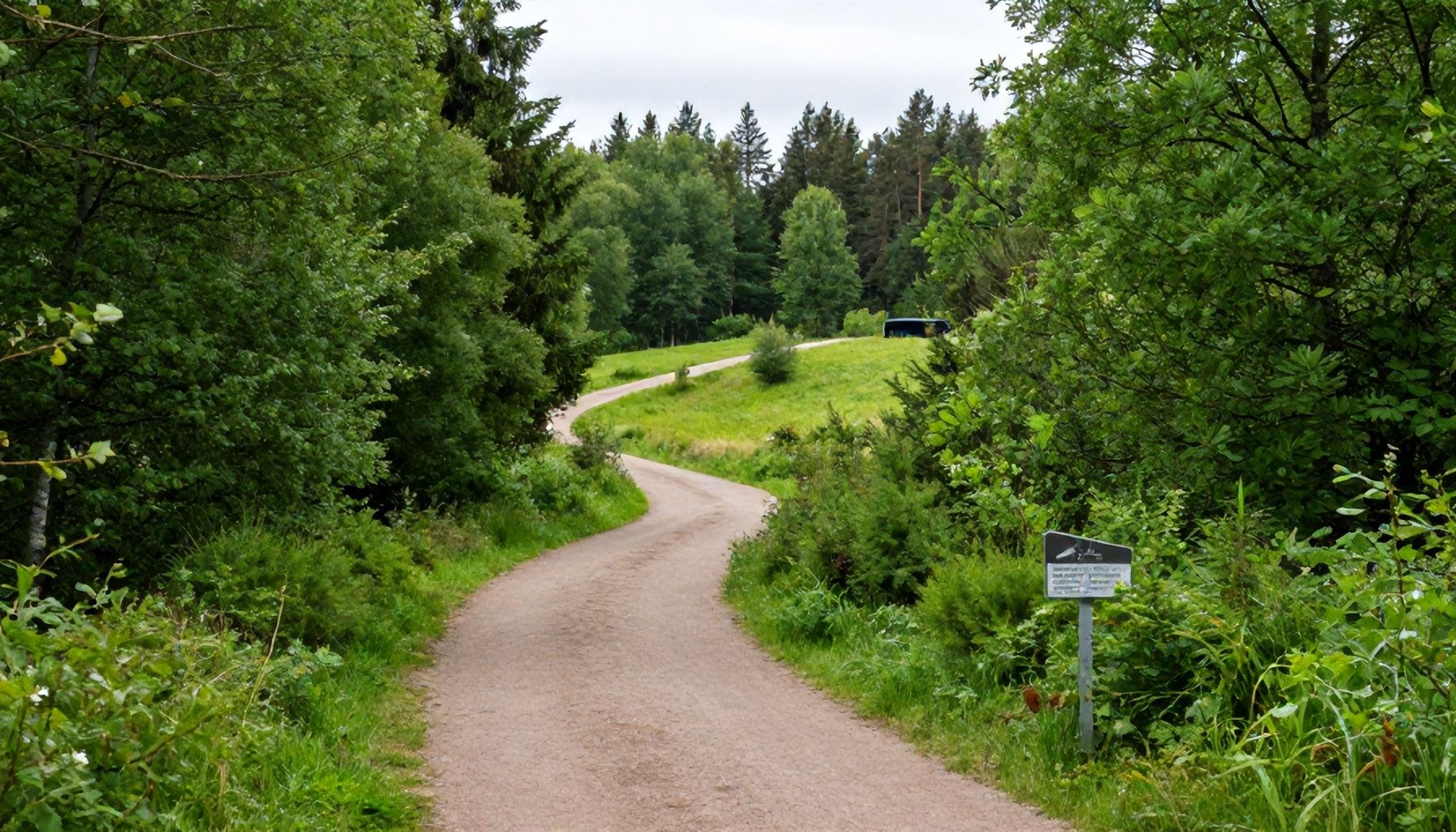 Miksi lintuvaara on Espoossa suosituin luontoalue