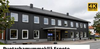 Puutarhamyymälä Espoossa: Löydä kaikki puutarhatarvikkeesi Espoo Uutiset