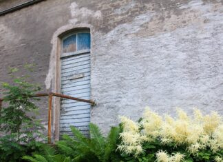 Sauna- ja kulttuurikeskus Saunalahti Espoossa