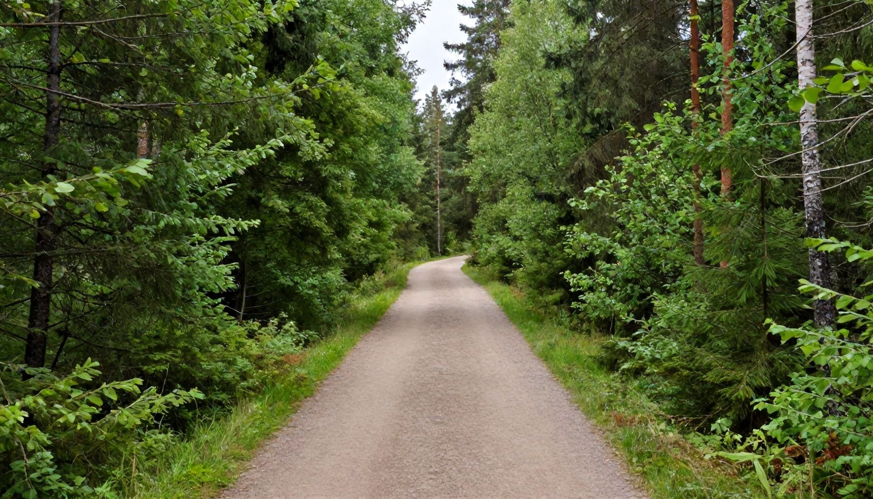 Totta ja totuutta: mitä sinun tarvitsee tietää Espoon kävelyreiteistä