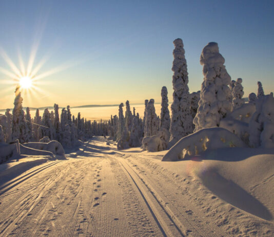 Otsikko: Espoolaisen perheen talous tasapainoon murrosajassa: Asuminen, säästäminen ja fiksu rahankäyttö pääkaupunkiseudulla Espoolaisen perheen talous tasapainoon murrosajassa