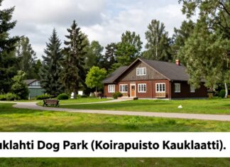 Koirapuisto Kauklahdessa: Osoite, kartta ja parhaat reitit sinne