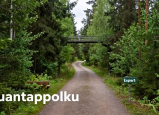 Luontopolku Espoon keskustassa – rauhallinen retkikohde arjen keskelle