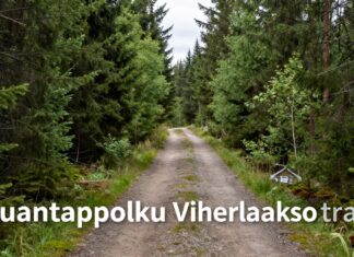 Luontopolku Viherlaaksossa: Rauhaa ja retkeilyä pääkaupunkiseudulla