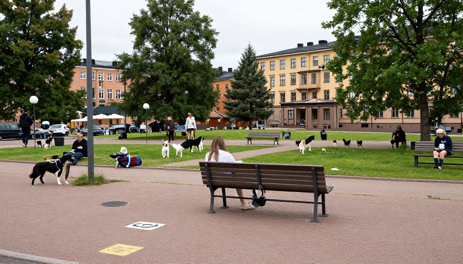 Miksi tämä koirapuisto on Espoon suosituin – ja mitä siellä todella löytyy
