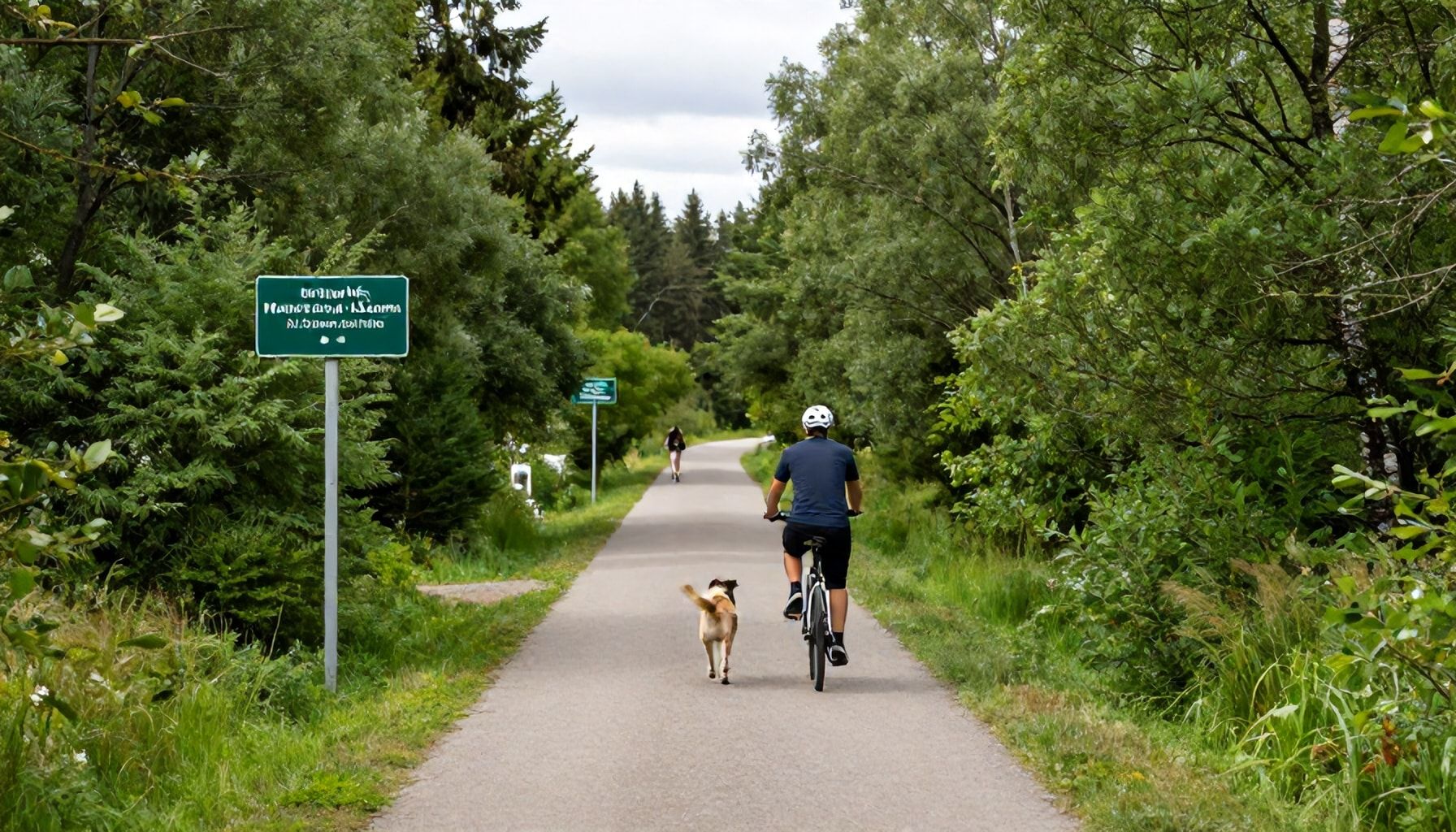 Oikotietä vai maisemareittiä? Parhaat kävely- ja pyöräilyväylät koirapuistoon Ison Omenan ja Soukan kautta