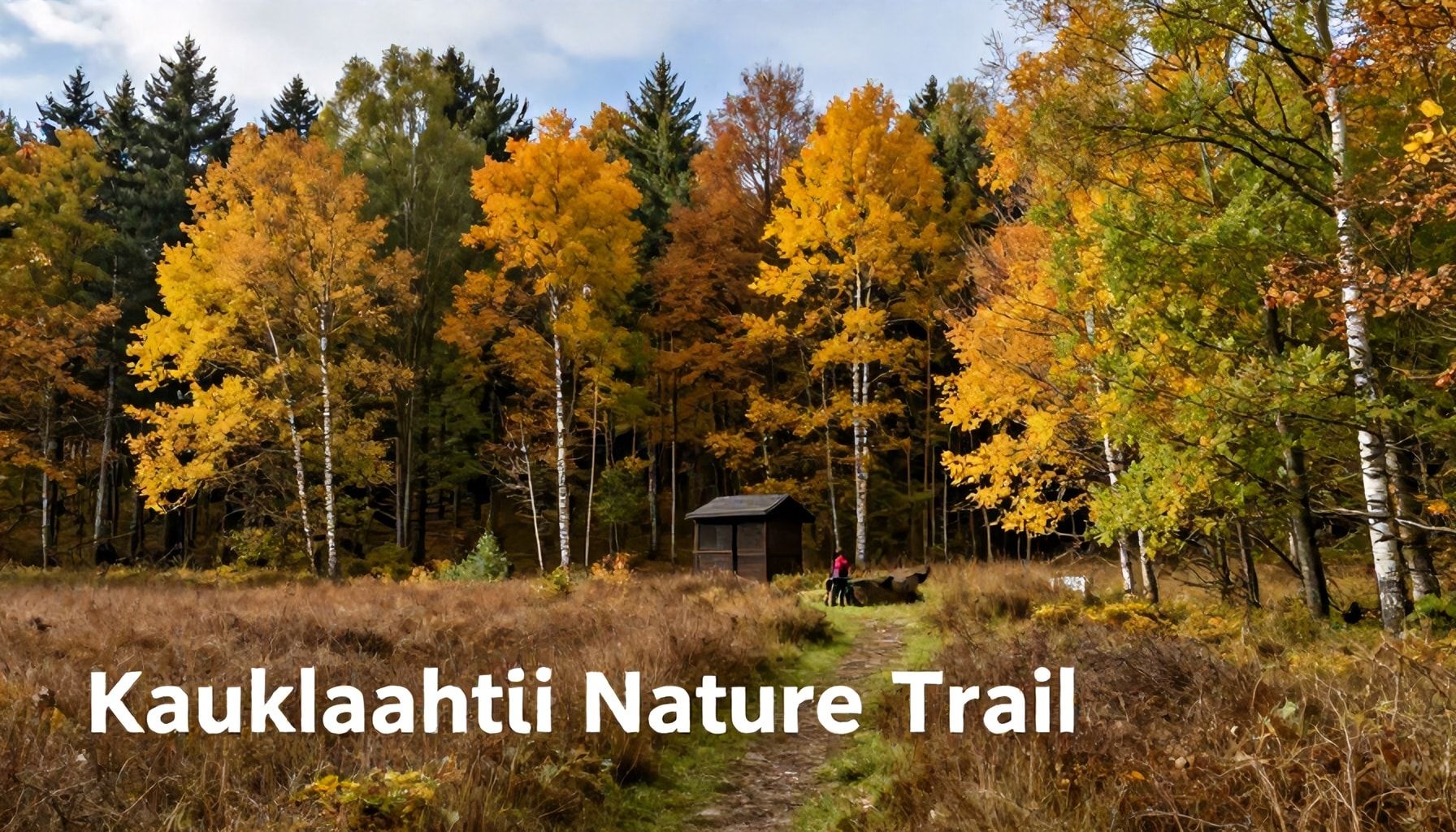 Syksyn värit vs. kesän valo – milloin ja miksi polun maisemat muuttuvat täysin erilaisiksi*