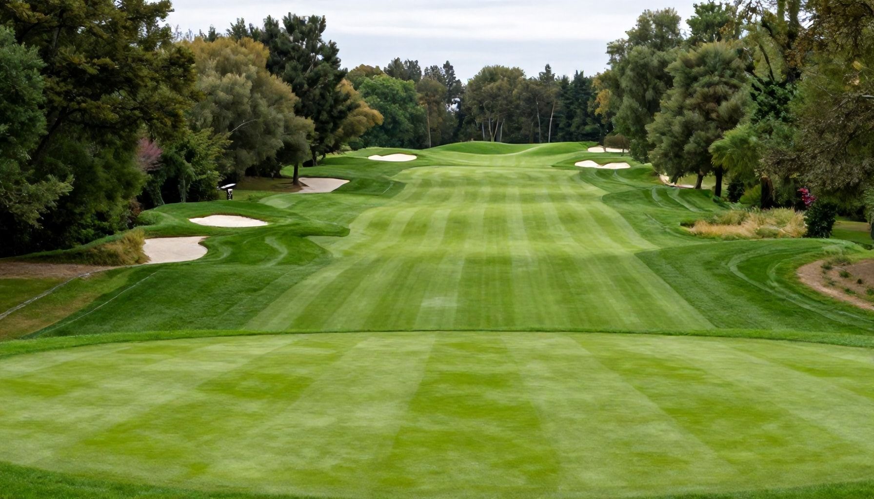 Tapiolan golfkentän reitit – miksi ammattilaiskin innostuu lähellä sijaitsevasta haasteesta